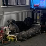 Profile Picture of Craig Lambert (@Craig-Lambert) on Facebook