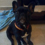 Profile Picture of Carlos Sotelo (@carlos_sotelor) on Instagram