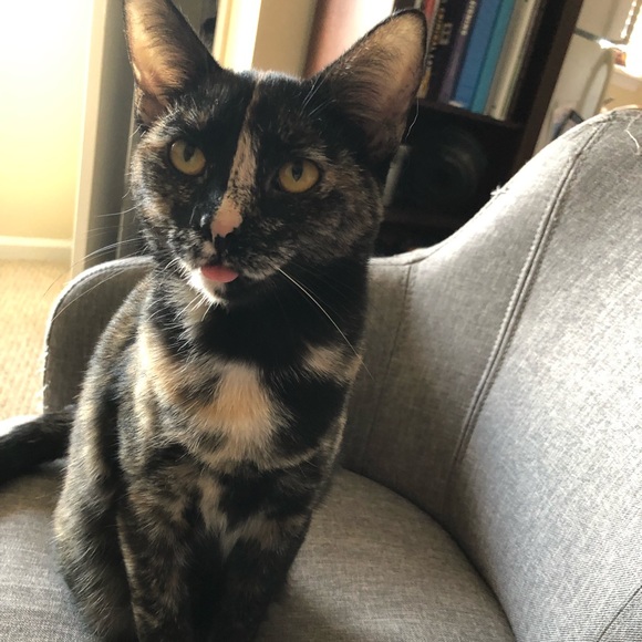 Profile Picture of Savannah Huff (@savannah_huff11) on Poshmark