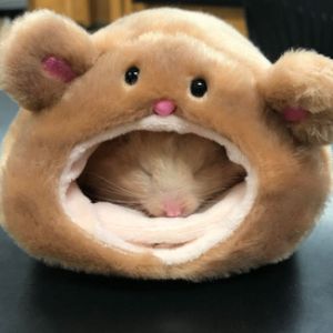 Profile Picture of Betty (@bettycruden) on Tiktok