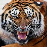 Profile Picture of Matthew Christensen-. (@matthewchristensen777777777777) on Instagram