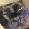 Profile Picture of Georgia (@@gexrgia_wright) on Tiktok