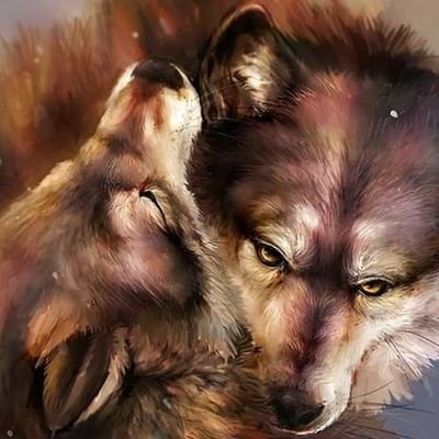 Profile Picture of Bertolini. Steve (@bertolinisteve1) on Twitter