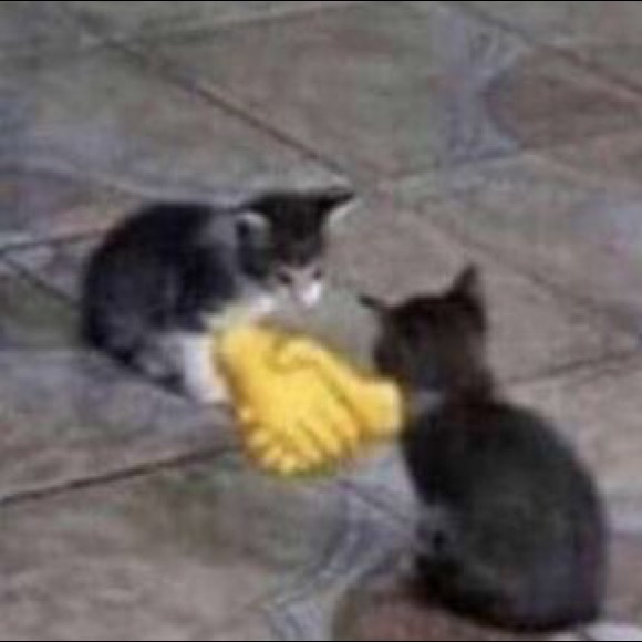 Profile Picture of Yared Cabrera (@yaredcabrera) on Poshmark