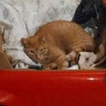 Profile Picture of Jose Sergio Gutierrez Aldrete (@josesergiogutierrezaldrete) on Instagram