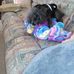 Profile Picture of Martha Kephart (@martha.kephart.144) on Facebook