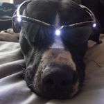 Profile Picture of Russell Campbell (@russellcampbell84) on Instagram