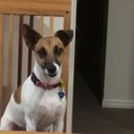 Jacob O’Hanlon - Instagram Profile Picture of Jacob O’Hanlon (@jacobohanlon) on Instagram