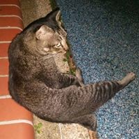 Profile Picture of Josclynne Kua (@josclynne-kua-1) on Quora