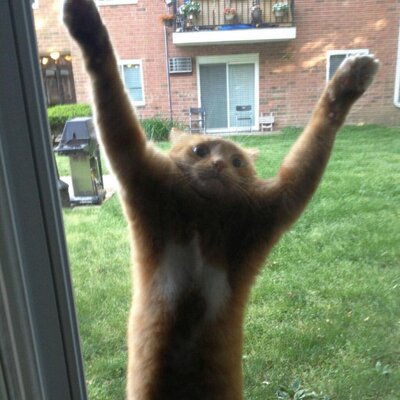 Profile Picture of Randall Humphrey (@@ranhump210) on Twitter