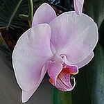 Profile Picture of David Fleck (@njodcoach) on Flickr