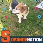 Profile Picture of Mary Fifield (@stanleybosan2019) on Instagram