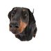 Profile Picture of Daniel Wuttke (@daniel.wuttke.376) on Facebook