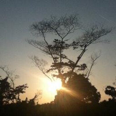 Profile Picture of Kim Tung (@kimElyssia) on Twitter