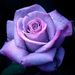 Profile Picture of Valerie Bruff (@valeriebruff) on Pinterest