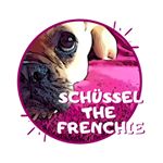 Profile Picture of S C H Ü S S E L (@schuessel_the_frenchie) on Instagram