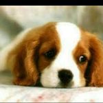 Profile Picture of chasity (@chasity_gooday) on Instagram