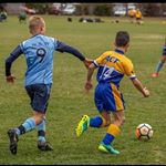 Profile Picture of Marcus Agnello (@marcus.agnello) on Instagram
