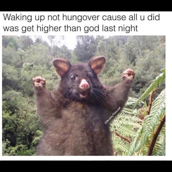 Profile Picture of Jake Mayerson (@herschel05) on Poshmark