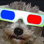 Profile Picture of Carl Appel (@cea314) on Instagram