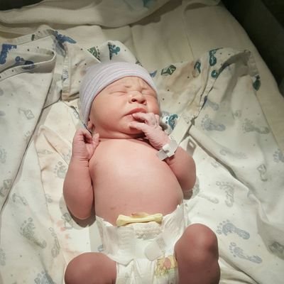 Profile Picture of Meredith Lehman (@m_sabers) on Twitter