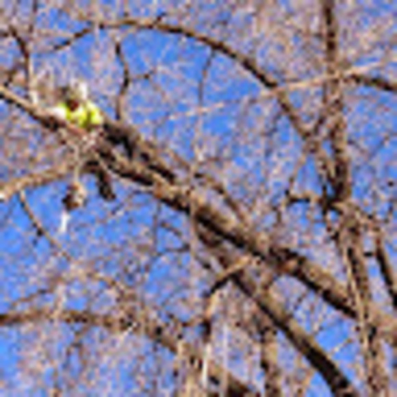 Profile Picture of Christian Feichtinger (@cjfeichtinger) on Poshmark