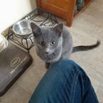 Profile Picture of Ray (@rayettajohnson9305) on Instagram