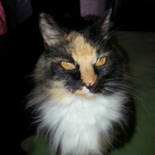 Profile Picture of Ruby Wright (@ruby.wright.79677) on Facebook