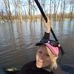 Profile Picture of Stacy Scillion (@stacy.scillion.7) on Facebook