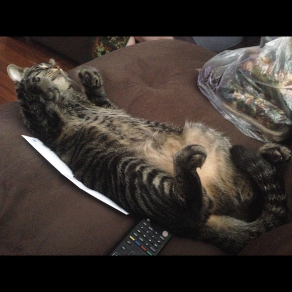 Profile Picture of Scot Hughes (@razser) on Poshmark