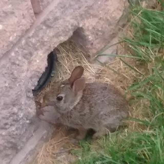 Profile Picture of Karen Pulli (@karen.pulli.10) on Facebook