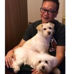 Profile Picture of Robin Yip (@robinyip16) on Instagram