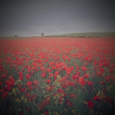 Profile Picture of Mark Burden Photography (@burdenmark) on Twitter