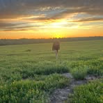 Profile Picture of Haley Hardy (@haley.hardy.7374) on Facebook