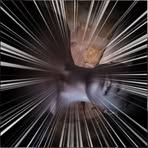 Profile Picture of James Ta Jcar (@jamesta.jcar) on Facebook