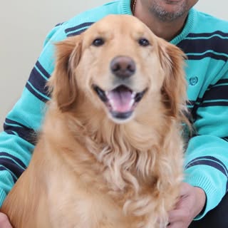 Profile Picture of Gitesh Pandya (@giteshpandya) on Instagram