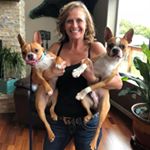 Profile Picture of Terra murphy (@alaskasbostons) on Instagram