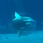 Profile Picture of Michael Vandermeer (@eurythmick) on Instagram