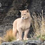 Profile Picture of Marko Jaworowski (@markojaworowski) on Instagram