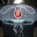 Profile Picture of Chris Wahlstrom (@chris.wahlstrom.3) on Facebook