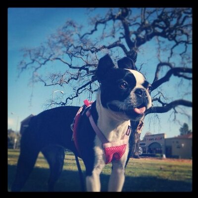 Profile Picture of Jaime Blevins (@princessjmedee) on Twitter