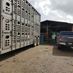 Profile Picture of Michael Ureña (@urena2895) on Instagram