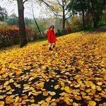 Profile Picture of Mike AndLynsey Danson (@michael.danson) on Instagram