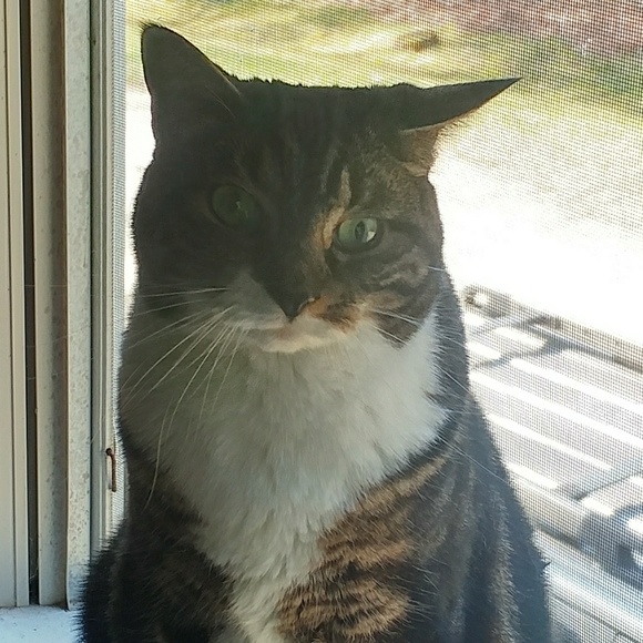 Profile Picture of Pam Zeiler (@pamzeiler) on Poshmark