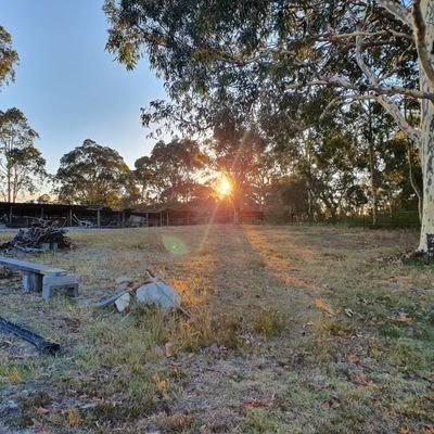 Profile Picture of ☔Matthew🇦🇺Baldock☔ (@Matty_Baldock) on Twitter