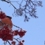 Profile Picture of Hamar (@hamarcibrian7l) on Instagram