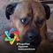 Profile Picture of Peter Herzog (@peter.herzog) on Facebook