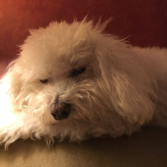 Profile Picture of Eamon Kelley (@epkelley) on Poshmark