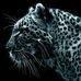 Profile Picture of John Pluche (@john.pluche) on Facebook