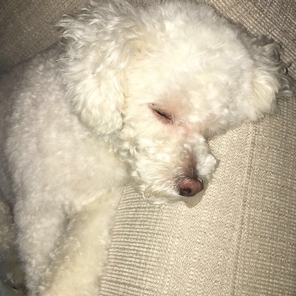 Profile Picture of Lucas Cuchran (@lucascuchran) on Poshmark